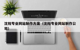 深圳沈阳专业网站制作方案（沈阳专业网站制作公司）